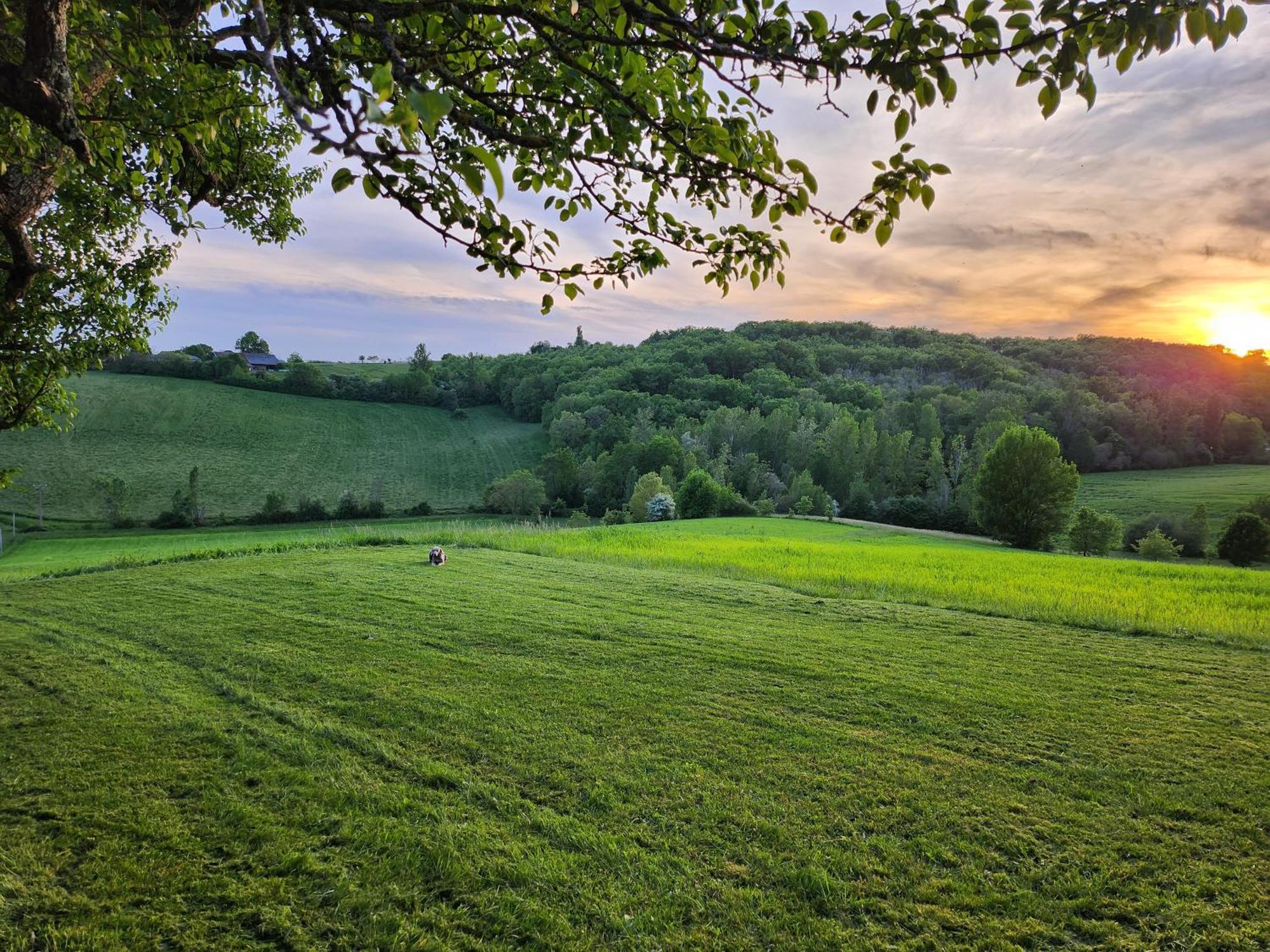 Domaine De Massoulac Molières Εξωτερικό φωτογραφία