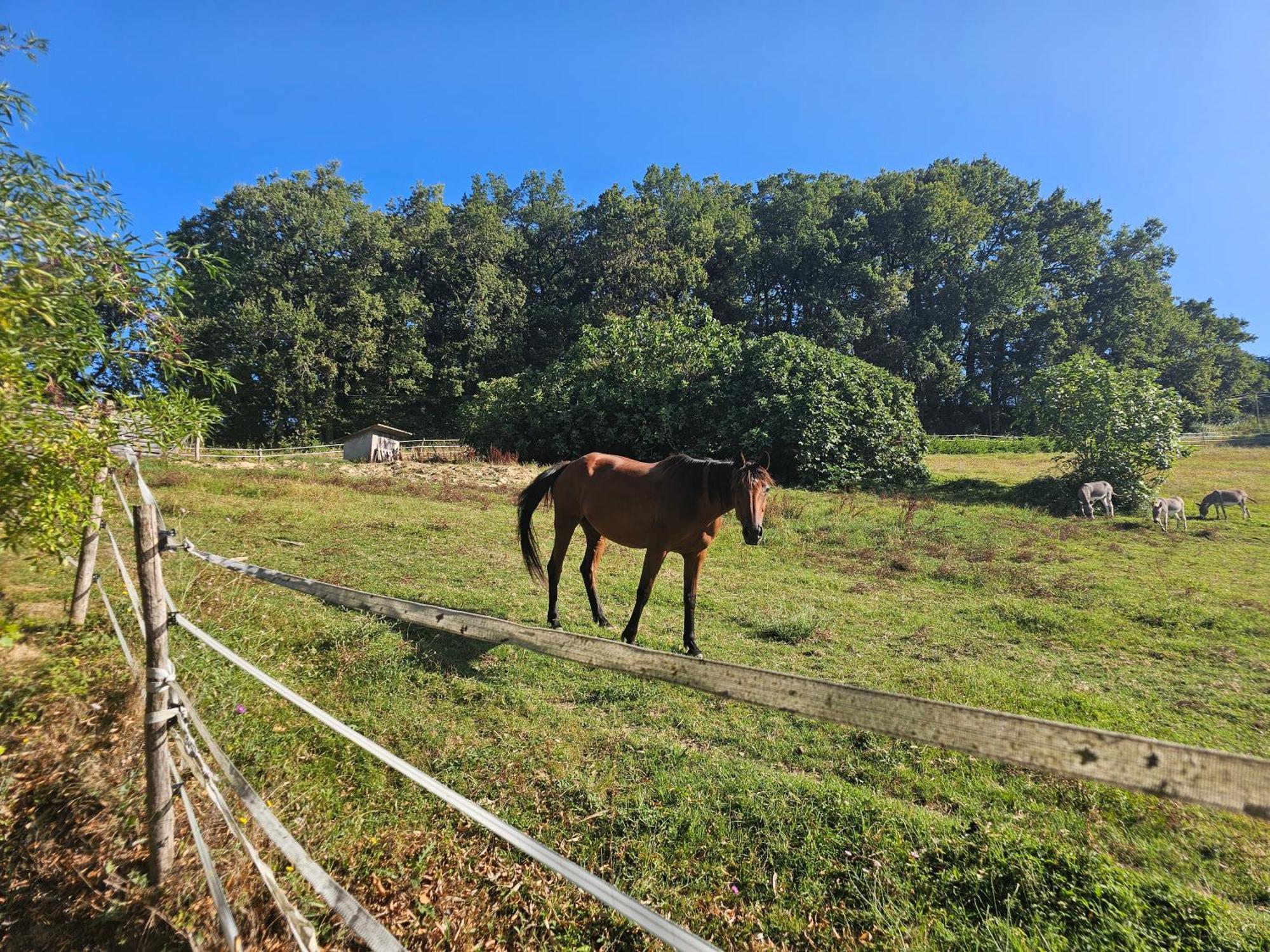 Domaine De Massoulac Molières Εξωτερικό φωτογραφία